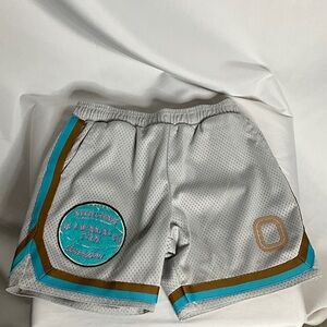 Overtime Mesh Shorts Gray with Teal and Brown Accents Size L